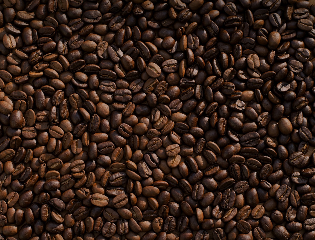 Gayo Highlands